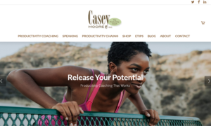 Casey Moore Inc website image