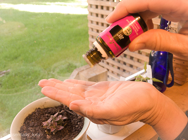 Adding drops of Joy essential oil to palm for topical use.