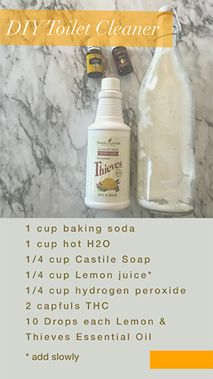 toilet bowl cleaner recipe card