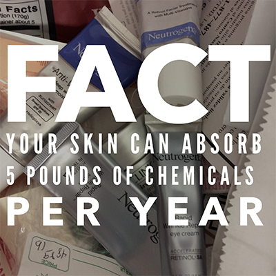 fact your ski can absorb 5 pounds of chemicals per year